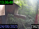 13:36:49