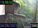 13:38:52