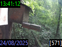 13:41:12