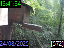 13:41:34