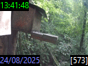 13:41:48