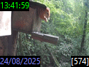 13:41:59