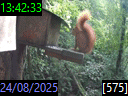13:42:33