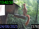 13:42:53