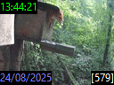 13:44:21