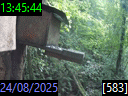 13:45:44