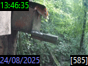13:46:35