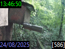 13:46:50