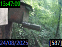 13:47:09