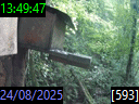 13:49:47