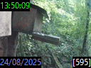 13:50:09