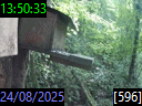 13:50:33