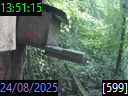 13:51:15