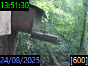 13:51:30