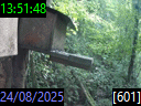 13:51:48