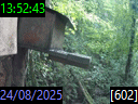 13:52:43