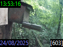 13:53:16