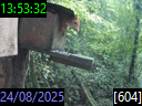 13:53:32