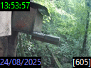 13:53:57