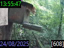 13:55:47