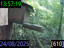 13:57:19