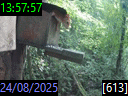 13:57:57