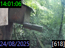 14:01:06