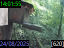 14:01:55