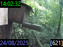 14:02:32