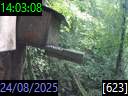 14:03:08
