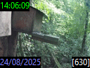 14:06:09