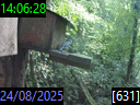 14:06:28