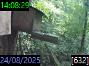 14:08:29