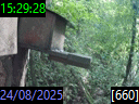 15:29:28