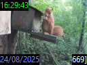 16:29:43