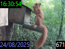 16:30:54