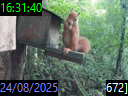 16:31:40