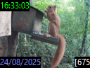 16:33:03