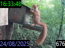 16:33:48