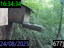 16:34:34