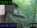 16:38:55