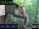 16:42:00
