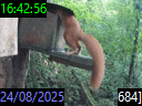 16:42:56