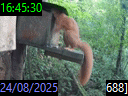 16:45:30
