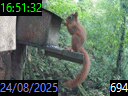 16:51:32