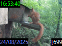 16:53:40