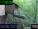 17:00:06