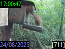 17:00:47