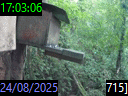 17:03:06