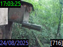 17:03:25